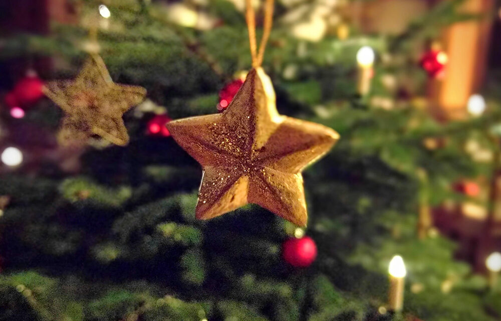 Chapter 1 – A Unique Christmas: The Christmas Star