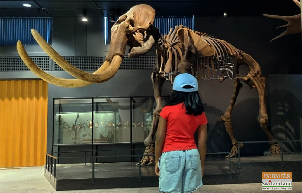 A visit to the Paleontology and Zoological Museum in Zurich