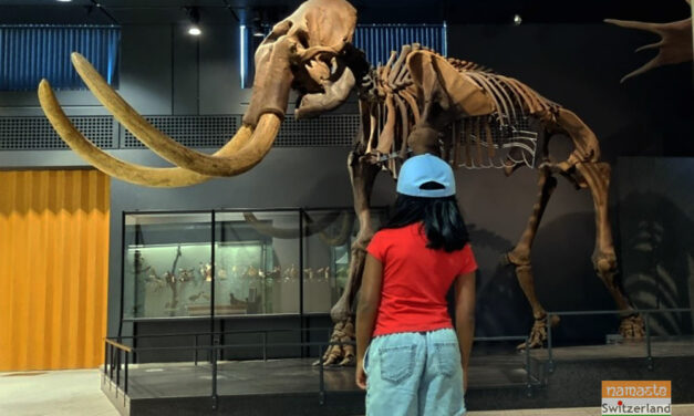 A visit to the Paleontology and Zoological Museum in Zurich